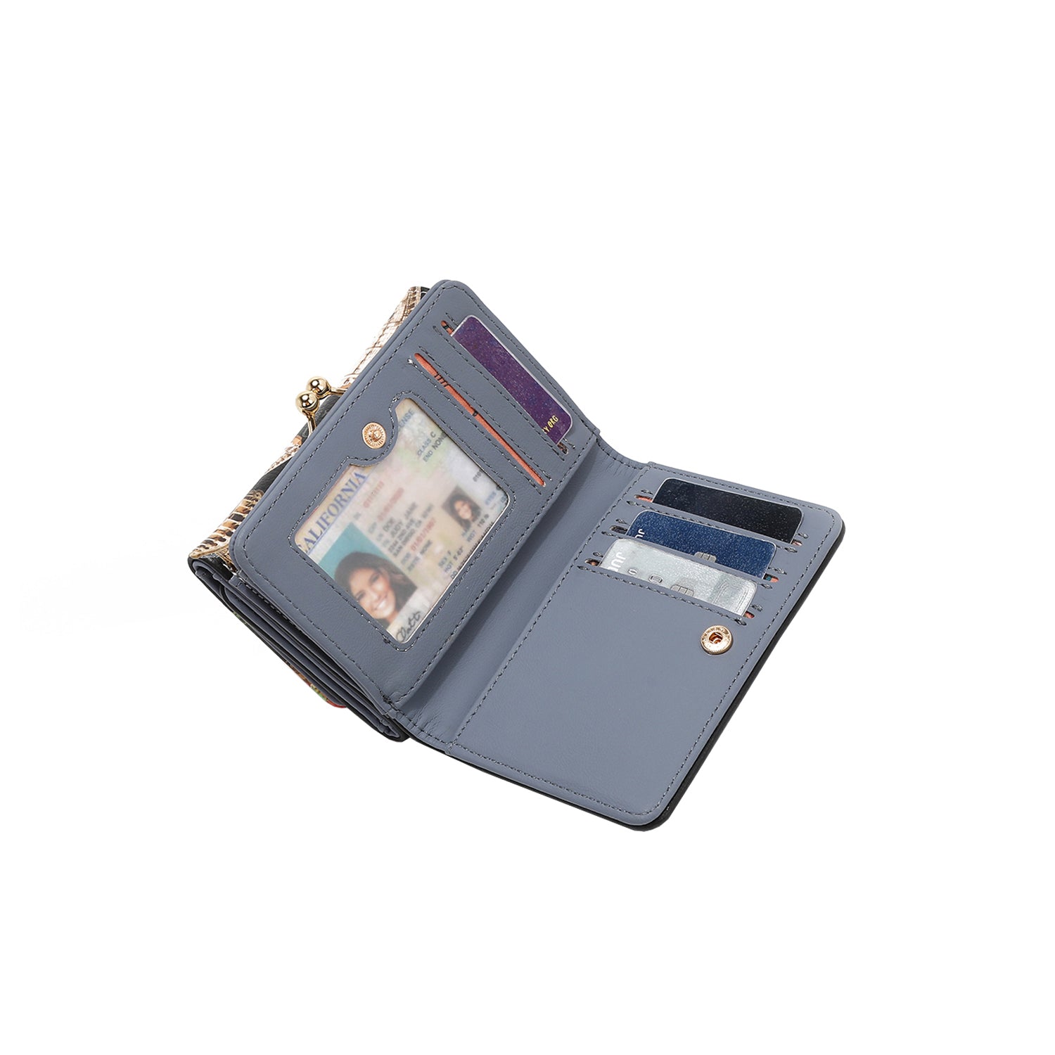 CARTERA TRIFOLD AGUSTINA (MARTHA TRAVELS ITALY)