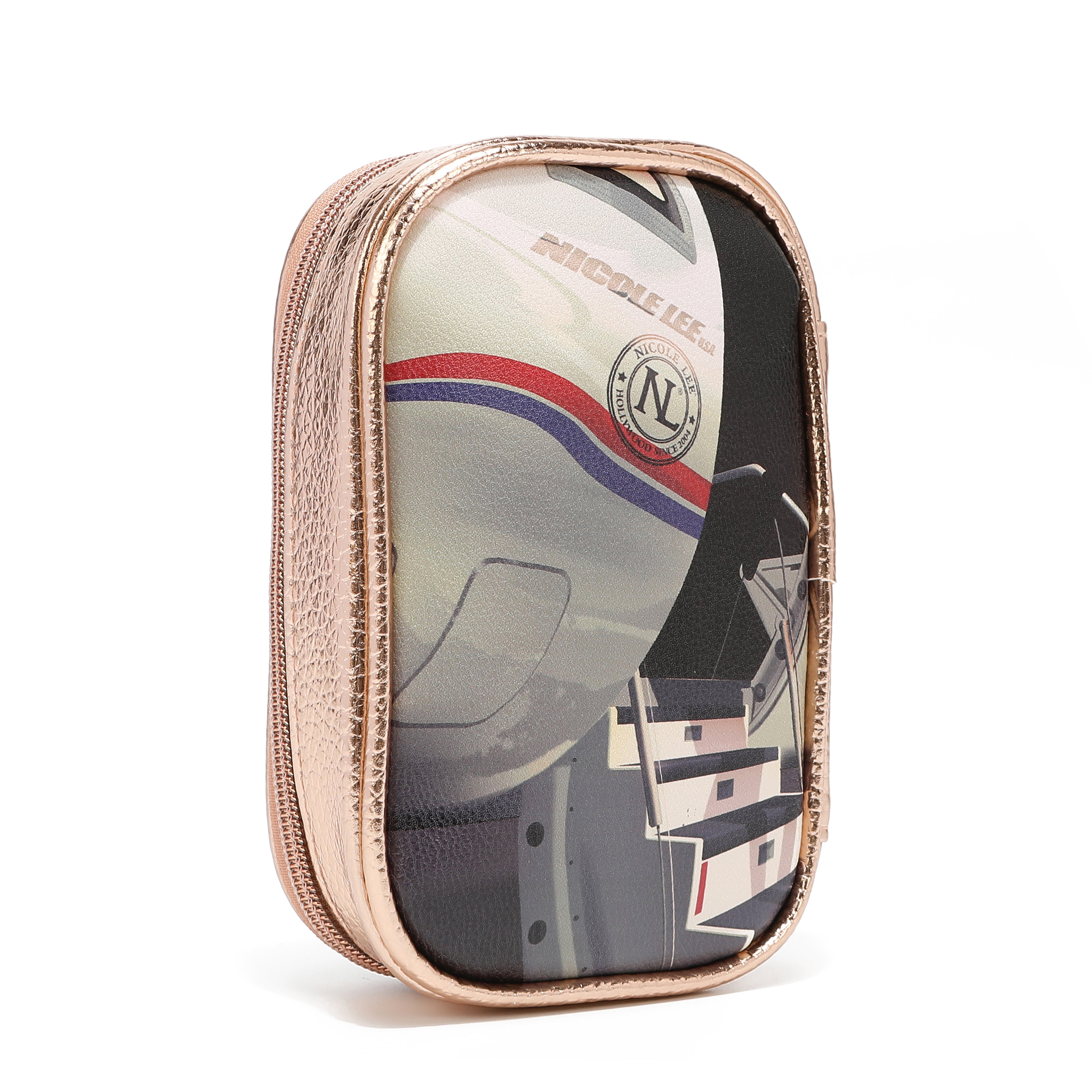 Set of makeup brushes with case