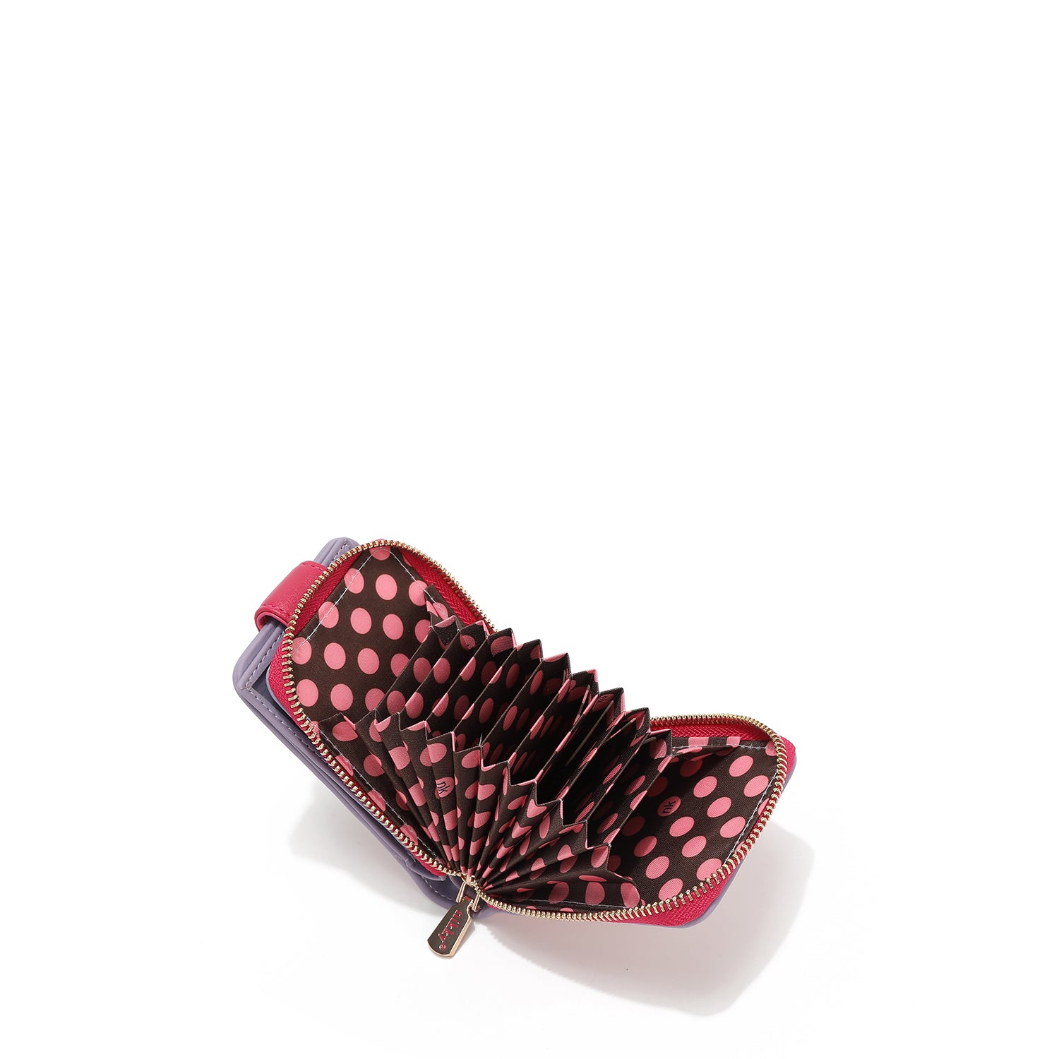 CARTERA PLEGABLE COMPACTA (FLOWER DAY)